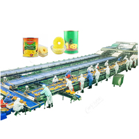 Complete Turnkey Automatic Canned Pineapple Process Line