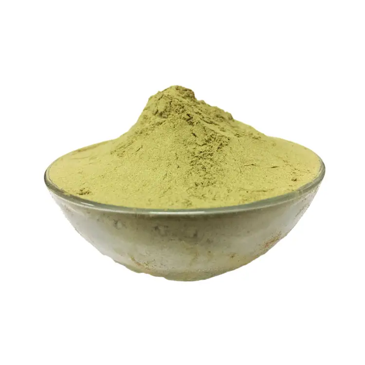 Superior Quality Hot Selling Wholesale Quantity Supply Pure and Natural Herbal Tulsi Powder for Bulk Buyers