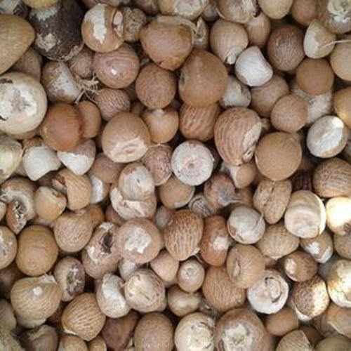 100% хорошие Симпатичные тайские разделенные орехи, Сушеные Орехи Betel, Таиландские орехи Betel