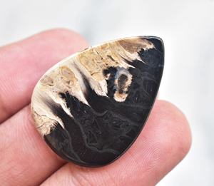 ¡Mejor calidad! Fósil-GEMA de ágata, gema semipreciosa suelta, GEMA, ágata de raíz de Palma - Product Image 2