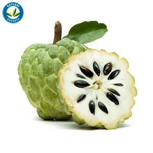 100% Pure Organic Custard Apple Seed Essential Oil for Skin Hair and <b>Pest</b> <b>Control</b> Private Label Bulk Supply Made in India - Product Image 5