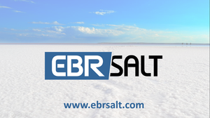 Nettoyeur de poussière humide, pour le traitement du sel - Product Image 6