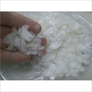 TILAPIA — assiette de poisson séché au collagène, meilleure vente, - Product Image 2