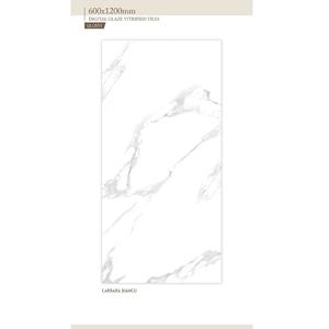 Baldosas vitrificadas esmaltadas Baldosas de baño 60x120cm - Product Image 2