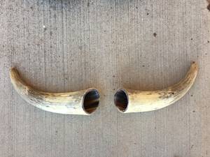 Cuerno de búfalo decorativo para vajilla y decoración de interiores, diseño moderno, base de madera, cuerno decorativo de búfalo - Product Image 6