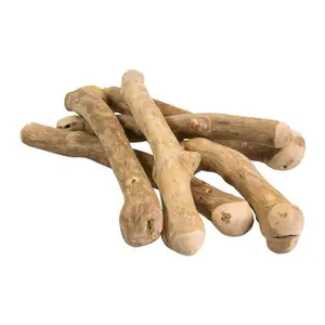 环保木制咖啡树棒积极的狗咀嚼骨头和牙科牙刷包装在盒子里，用于宠物玩具/Ms。利马