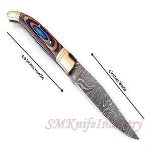 Custom Hand Forged Pocket Knife Hand Made Damascus Folding Knife with Leather Sheath Cover (smk1698) - Product Image 3