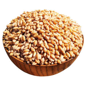 Son de blé superfine, adapté à l'alimentation animale (porc, volaille, vache, cheval, mouton) ; Origine : Argentine, Ukraine, Russie - Product Image 6