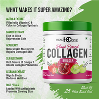 Supplément de santé en gros de meilleure qualité à base de plantes, collagène constructeur 200 gm