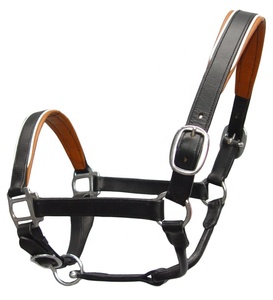 Halters de cheval de selle anglais personnalisés de qualité supérieure en cuir souple rembourré avec couleur et logo personnalisés en laiton - Product Image 4
