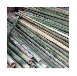 Bastones de bambú Natural ecológicos, para construcción y decoración del hogar, Color Natural, hecho en Vietnam 99GD - Product Image 4