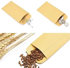 Benutzer definierte kleine Mini-Saatgut verpackung Kraft papier umschlag