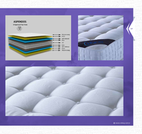 Matelas en mousse à mémoire de forme de qualité supérieure, modernes, antibactériens, avec fonctions de massage, housse en tissu tricoté, meubles pour appartement, maison, salon