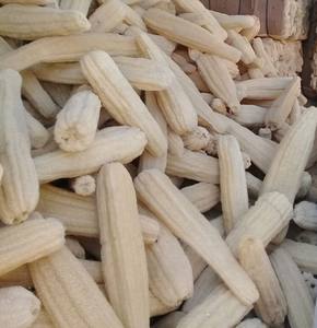 100% NATURAL RAW <b>LOOFAH</b> SIZE 20-50 CM (4-7 CM) in VIETNAM USED WASHING and BATH - Product Image 6