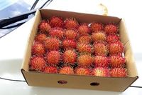Type 1 Verse Rambutan uit Vietnam - Mevr. KiO HYUNH + 84 34 375 8904
