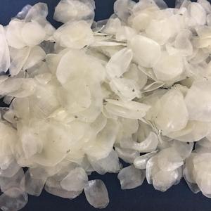 เวียดนามปลาเครื่องชั่งน้ำหนักสารสกัดจากคอลลาเจนที่มีคุณภาพที่ดีที่สุด - Product Image 3