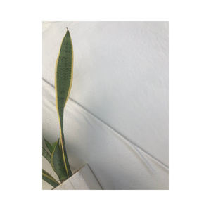 Bulk Supply Of Eco-Friendly 100% Bamboo Fabric Buy at Less Discounted Price - Product Image 1