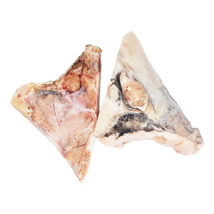 Larhueso de pez espada Natural nutritivo, bajo en grasa, certificación GMP, de la Costa de Marfil del Océano Indio - Product Image 1