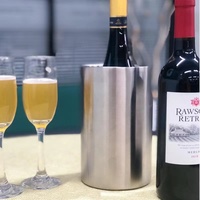Refroidisseur de vin sous zéro à Double paroi Portable de 1600ml, porte-bouteille de bière en acier inoxydable
