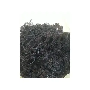 ALGA SARGASSUM SECA EN OFERTA - Product Image 1