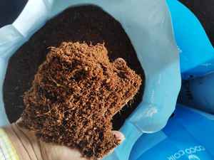 Cocopeat Loos COCO PEAT 50 LITRES SAC Pith de coco brut en vrac en sac Prix bas Quantité supérieure - Product Image 6