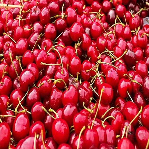 ताजा Chery फल/लाल मीठी चेरी