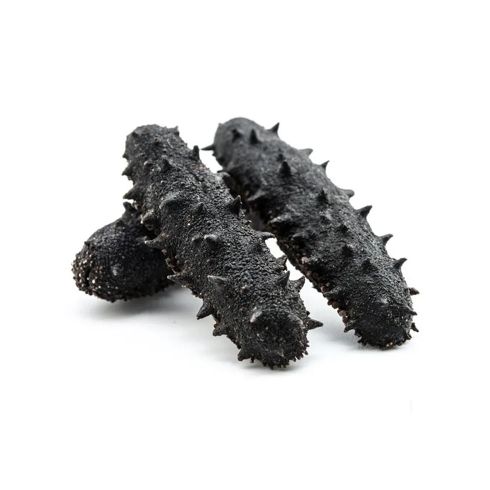 Buy Dried Sea Cucumber at Factory Direct Sales price