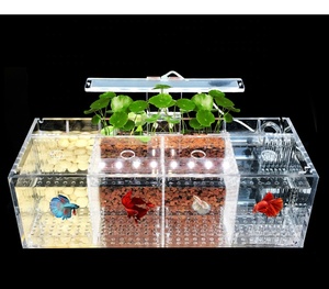 Acuarios cuatro compartimentos separados <span class=keywords><strong>casa</strong></span> ubicación de peces caja de cría de peces, pecera de acrílico - Product Image 1