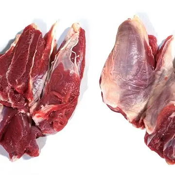 Fresco e refrigerate carne di agnello (Export)