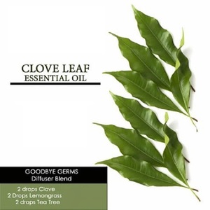 Compre Aceite Esencial de Hoja de Clavo Puro Destilado al Vapor de Indonesia, Fabricante, OEM/ODM Disponible - Product Image 1