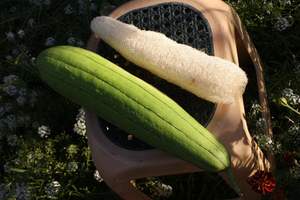 Luffa du Vietnam / 100% Luffa naturel pas cher / Éponge de luffa brute / Jonathan +84766909341 - Product Image 2