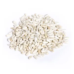 High Quality Pure Range Natural Organic Animal Feed Safflower Kernel Seeds at Bulk Price