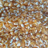 New Crop Yellow Maize Corn Broken with Best Quality