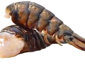 อาหารทะเลแช่แข็งจากสหรัฐอเมริกา กุ้งมังกรสด - Product Image 3