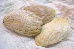 Importación/Exportación a Granel desde India de Aceite Portador de Semillas de Mango Mangifera Indica Puro Prensado en Frío con Certificación GMP AARNAV GLOBAL EXPORTS - Product Image 6