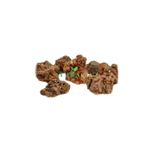 Kẹo Cao Su Myrrh Nguyên Chất Ogadain Commiphora Myrrha Molmol