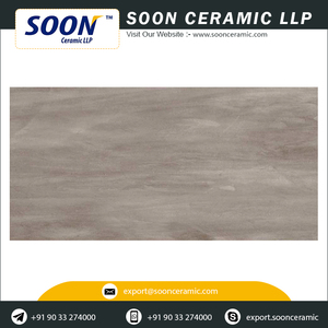 Digital Porcelain Wall Tiles 250x500mm Outdoor Rustic Design Non-Slip Acid-Resistant Matte Finish - Product Image 3