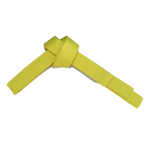 Ceinture de Jiu Jitsu Brésilien 100% Coton Coupe Professionnelle Personnalisée, Armure de Perles, pour Entraînement aux Arts Martiaux, Ceintures de Karaté - Product Image 5