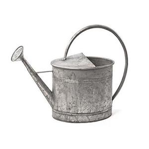 Arrosoir de jardinage galvanisé de qualité supérieure, forme ronde, pour usage intérieur et extérieur - Product Image 1