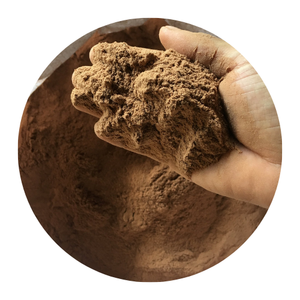 ผง Joss คุณภาพสูง/jigat/Litsea glutinosa จากเวียดนาม/shyn Tran - Product Image 1