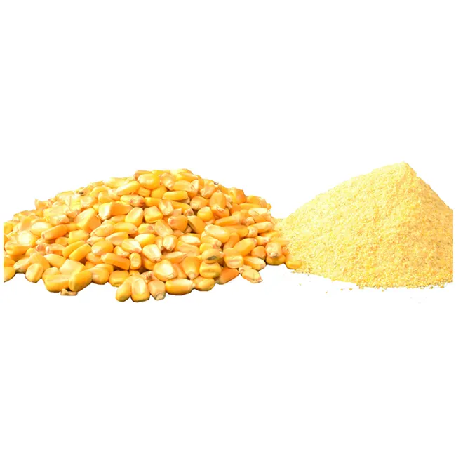 Top Selling Good Quality Natural Yellow Corn MaizeでBulk Best牛手数料動物飼料鶏食品高タンパクイエローコーン