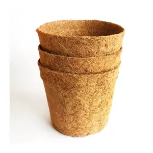 Olla de COIR ecológica para plantación