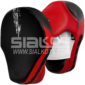 Offre Spéciale muay thai et kick boxing focus mitaines - Product Image 1