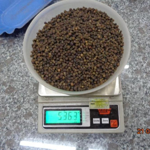พริกไทยดำเวียดนามพรีเมียม กลิ่นหอมเข้มข้น ไพร์เพอรีนสูง เมล็ดพริกไทยสะอาดแห้ง สำหรับขายส่งจำนวนมาก จัดส่งรวดเร็ว - Product Image 1