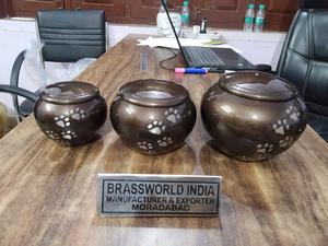 10 pièces de crème libre, litière, différentes tailles, pour animaux de compagnie - Product Image 2