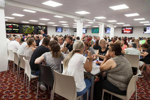 Producto de Alta Calidad de Bingo Studio Bingospania España - Product Image 2