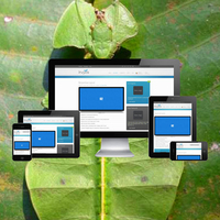 搜索引擎优化公司在印度 | 搜索引擎优化公司 | 最好的SEO SMM服务Webroot Infosoft