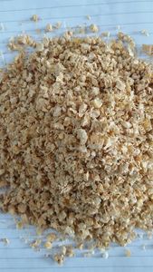 Toptan en iyi kanatlı hayvan tavuk mısır koçanı yemek at domuz yemi/Ms.Thi Nguyen + 84 988 872 713 - Product Image 2