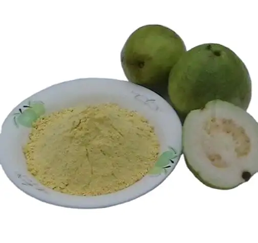 Extrait de poudre de Guava naturelle, poudre de fruits, vente en gros, g