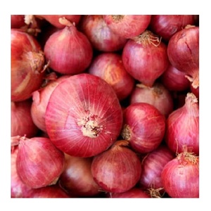 THE BEST QUALIFY FRESH <strong>ONION</strong> for EXPORT ORIGIN VIET NAM - Product Image 1